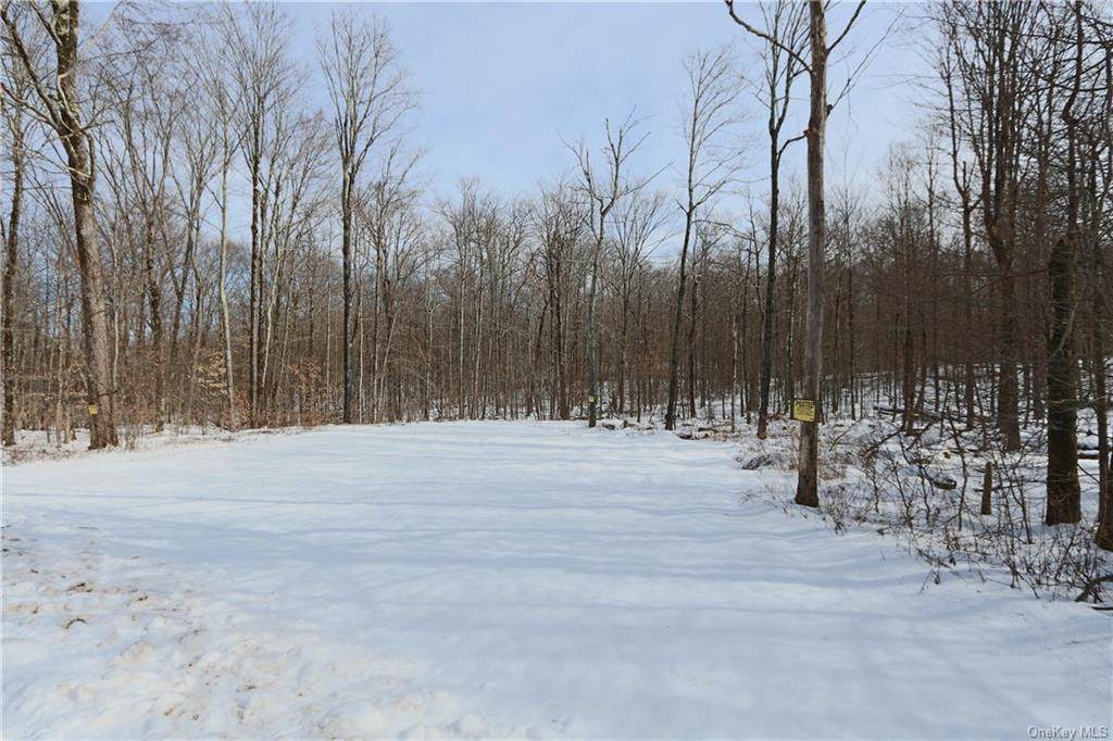 Klinger Road - Photo 1