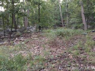 93 Blueberry Hill - Photo 1