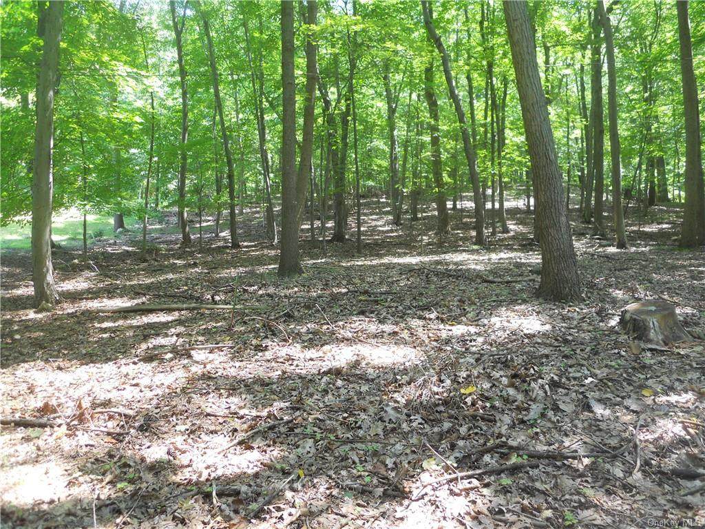 6 Westlin Lane - Photo 1
