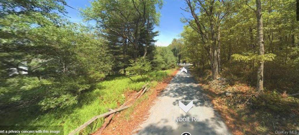Lybolt Road - Photo 1