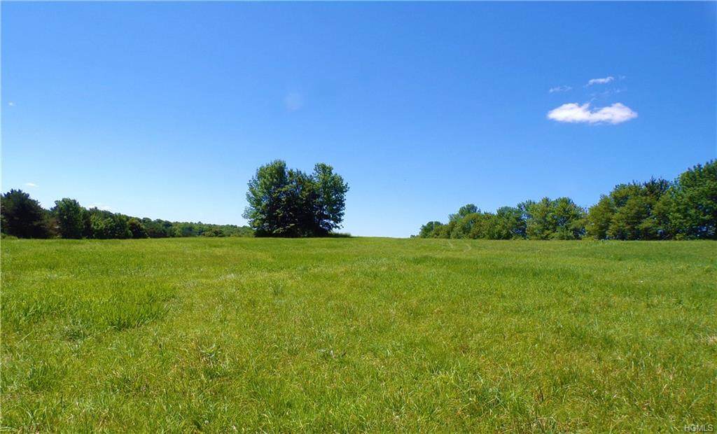 Hessinger Lare Road - Photo 1