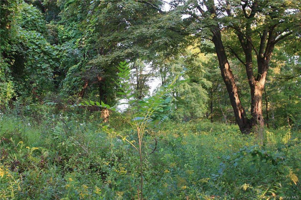 198 Sylvan Lake Road - Photo 1