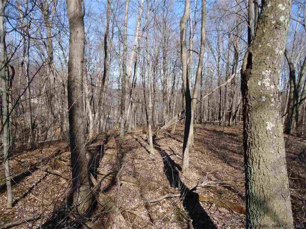 8 Cross Creek Run Road - Photo 1 8 Cross Creek Run Road - Photo 1