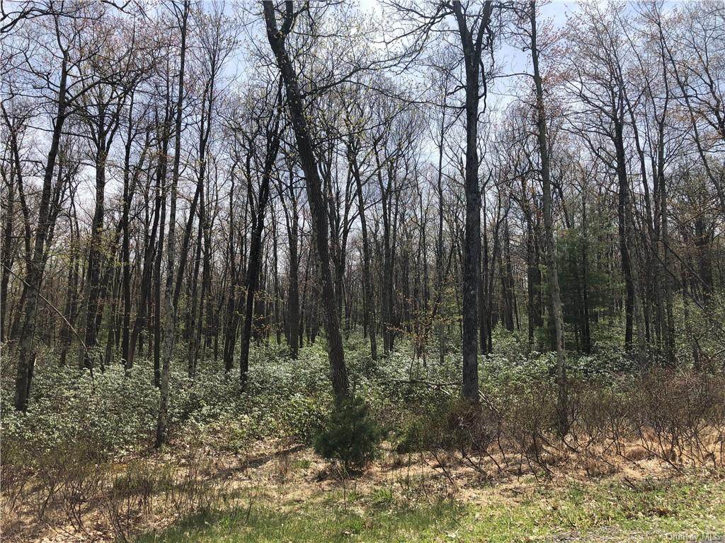 Pine Lake Drive - Photo 1