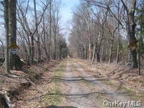 Gartner Road - Photo 1