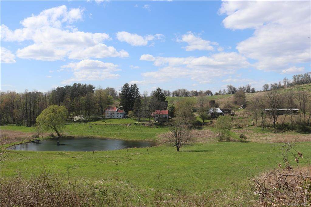 131 Frog Hollow Road - Photo 1