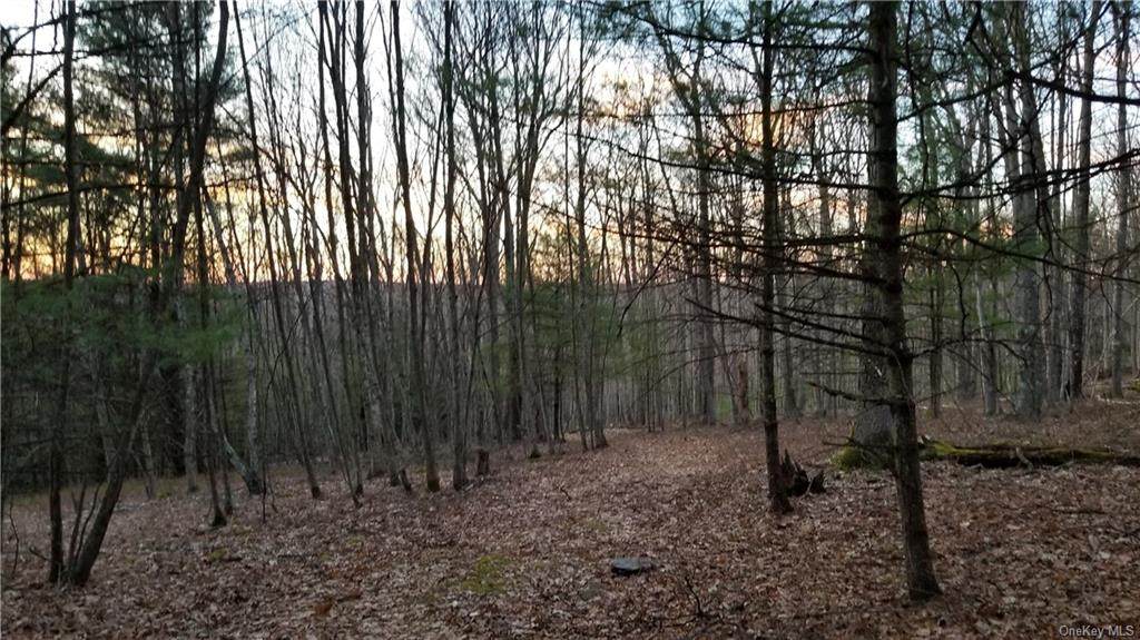 Lot #4 County Road 116 - Photo 1 Lot #4 County Road 116 - Photo 1