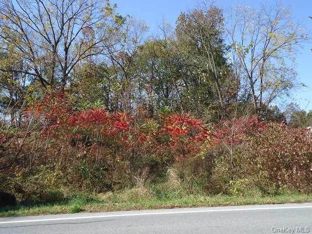 963 Homestead Avenue - Photo 1