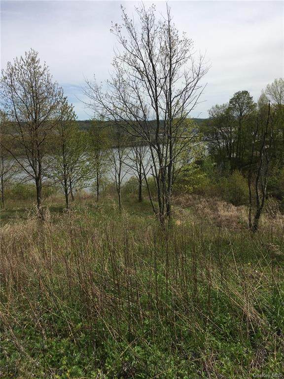 River Vista Drive - Photo 1