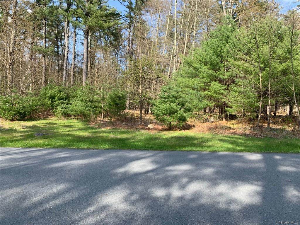 Misty Acres Lot 24 - Photo 1