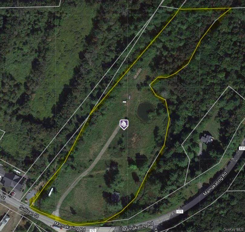 560 Mamakating Road - Photo 1