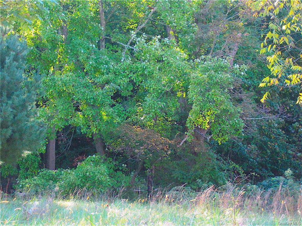 279 and 283 Bulsontown Road - Photo 1