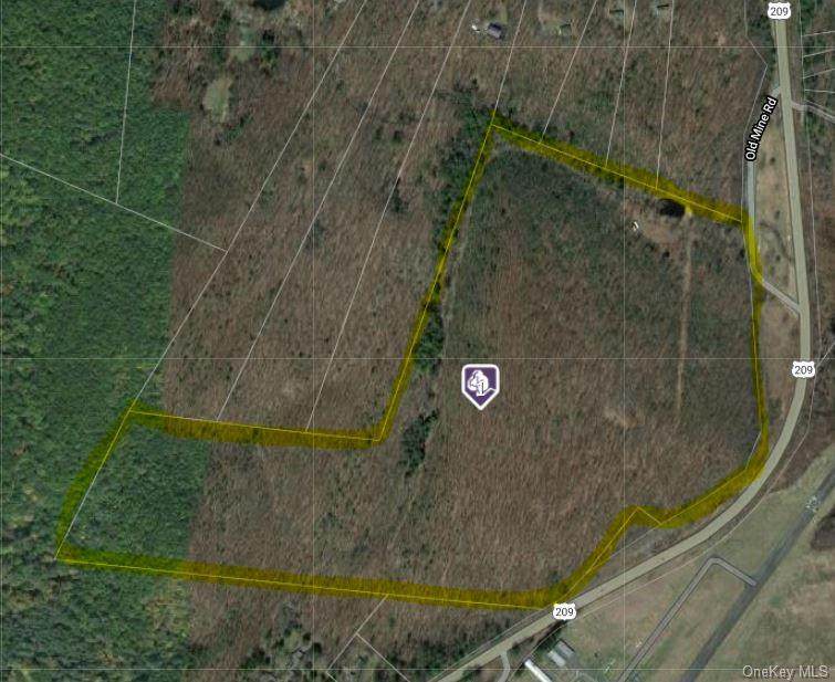 3689 State Route 209 - Photo 1