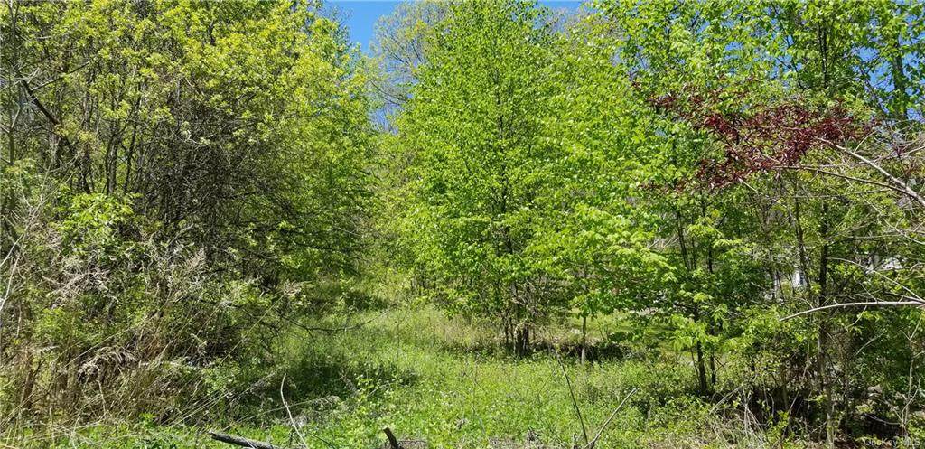 Hickory Hill Road - Photo 1