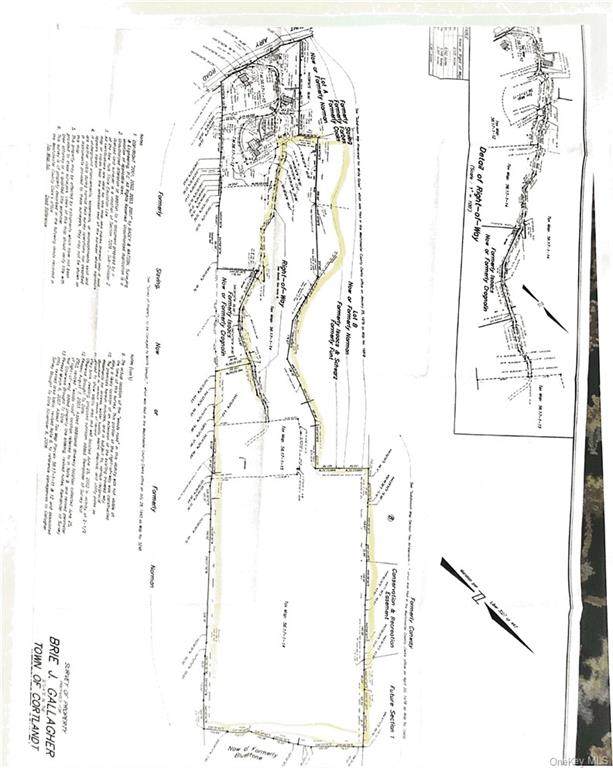 Lot 00 Mt Airy Road - Photo 1 Lot 00 Mt Airy Road - Photo 1
