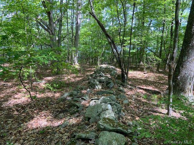 Greenville Turnpike - Photo 1