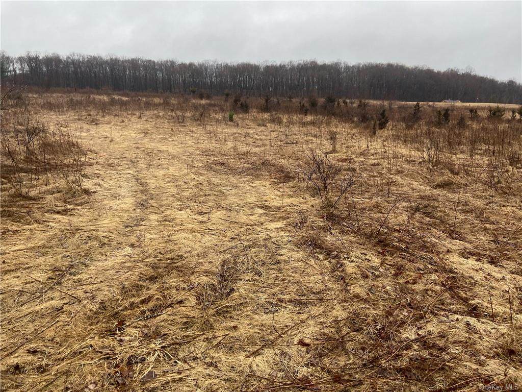 Route 22 - Photo 1