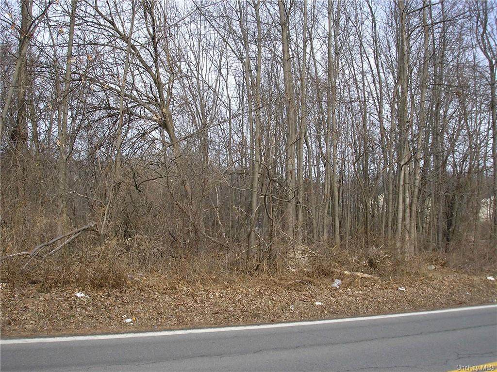 85 Silverlake Scotchtown Road - Photo 1
