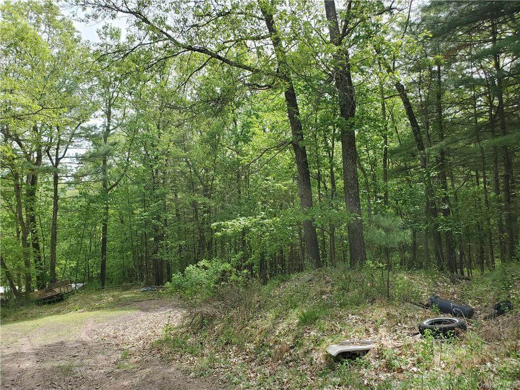 Dry Brook Road - Photo 1