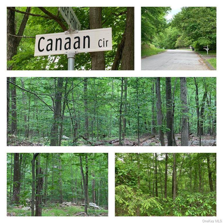 19 Canaan Circle - Photo 1