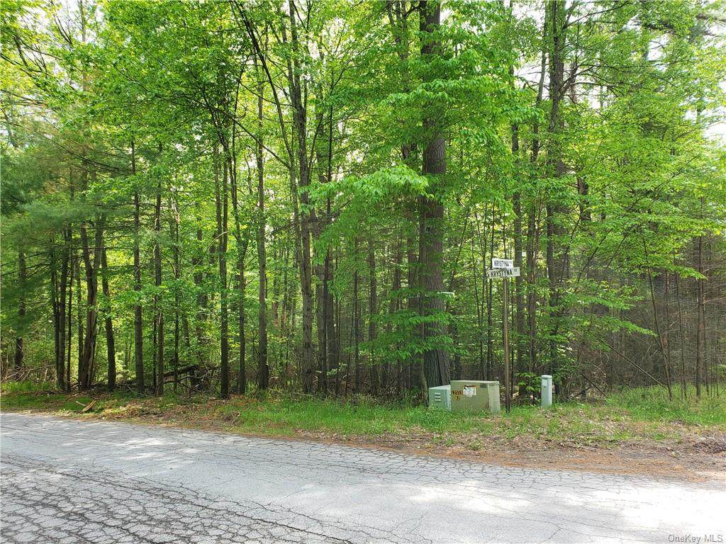 Krystyna Rd - Photo 1