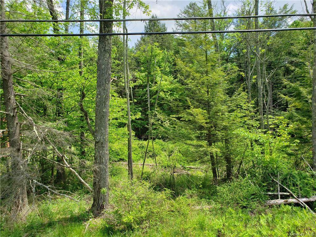 Nys Hwy Rt. 55 - Photo 1