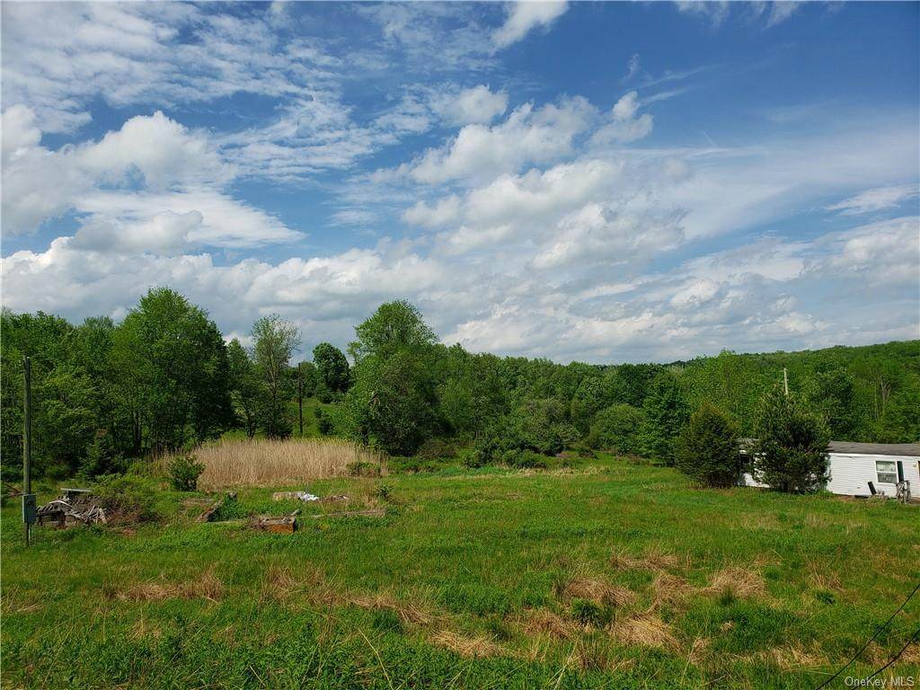 1208 Nys Hwy 17B - Photo 1