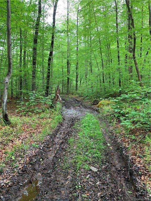 Cox Road - Photo 1
