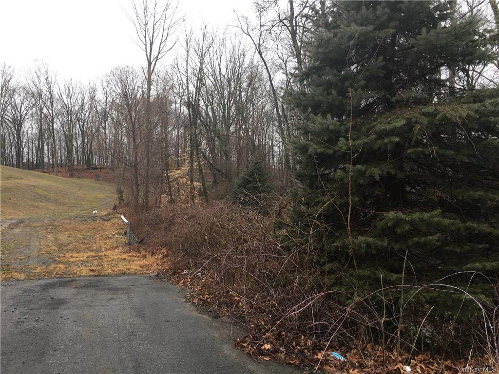 1 Guion Lane - Photo 1