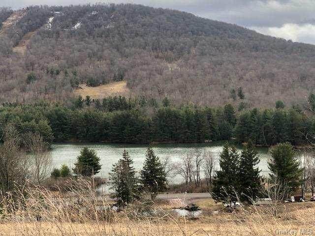 Castle Mountain Lane - Photo 1