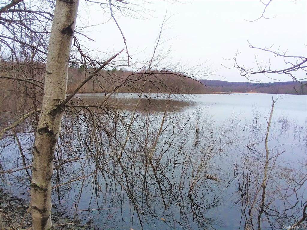 238 Silver Lake Road - Photo 1