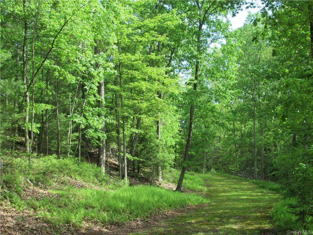 32 Old Country Road - Photo 1
