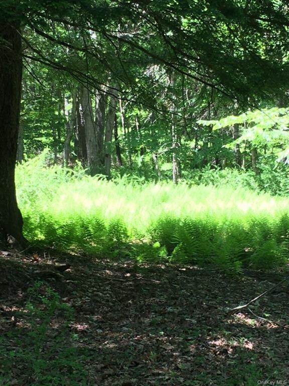Nys County Rt. 52 - Photo 1