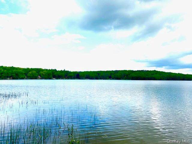 Lake Drive - Photo 1