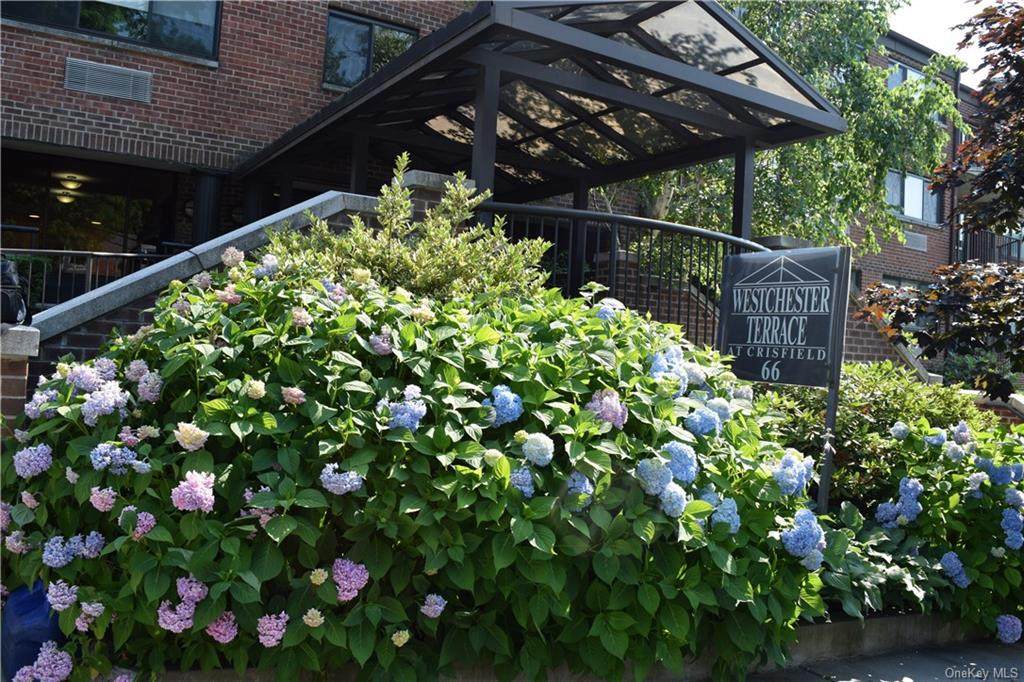 66 Crisfield Street - Photo 1