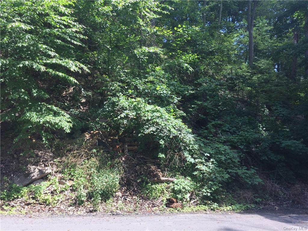 Nob Hill Road - Photo 1