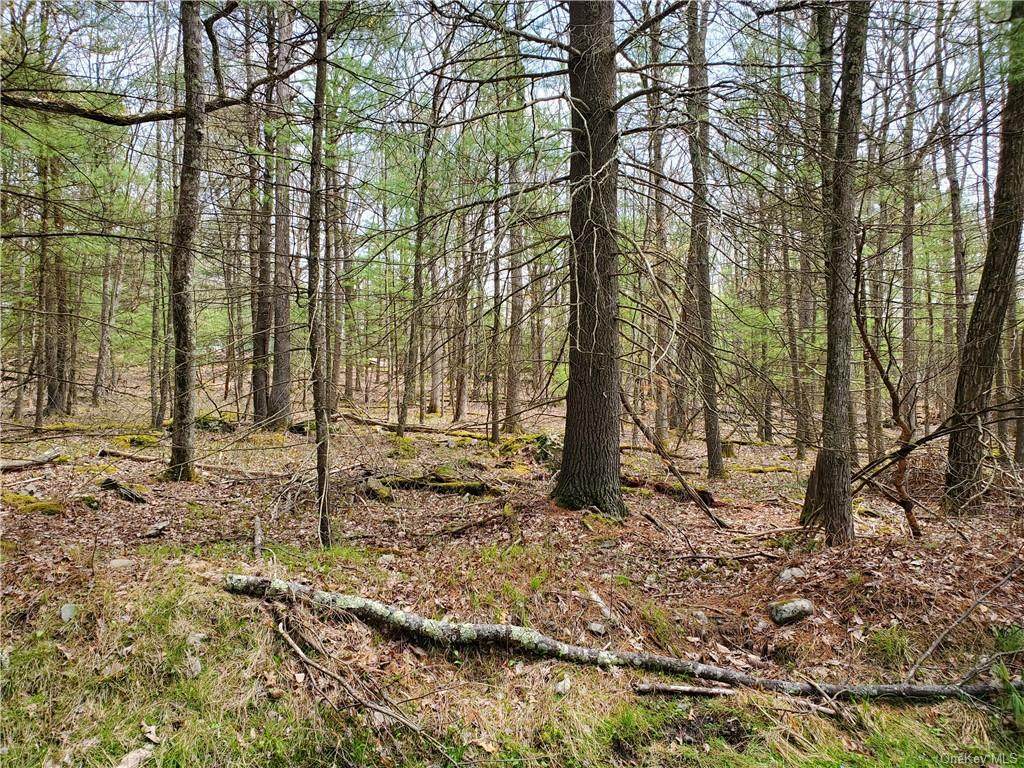 Iroquois Trail - Photo 1