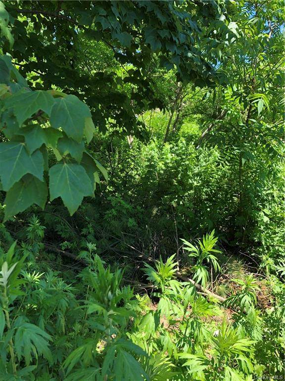 215 Jersey Avenue - Photo 1