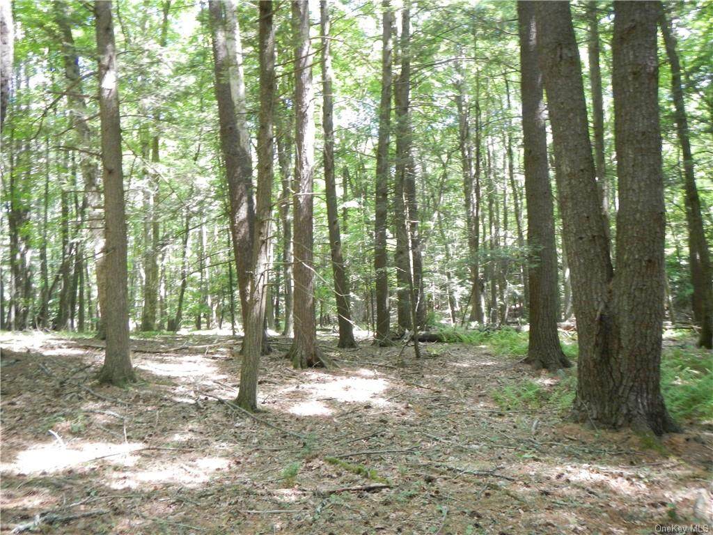 250 Peenpack Trail - Photo 1