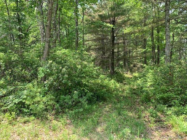 1212 Forestburgh Road - Photo 1