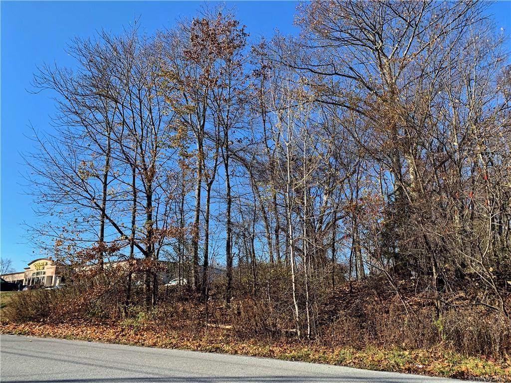 Racquet Road - Photo 1