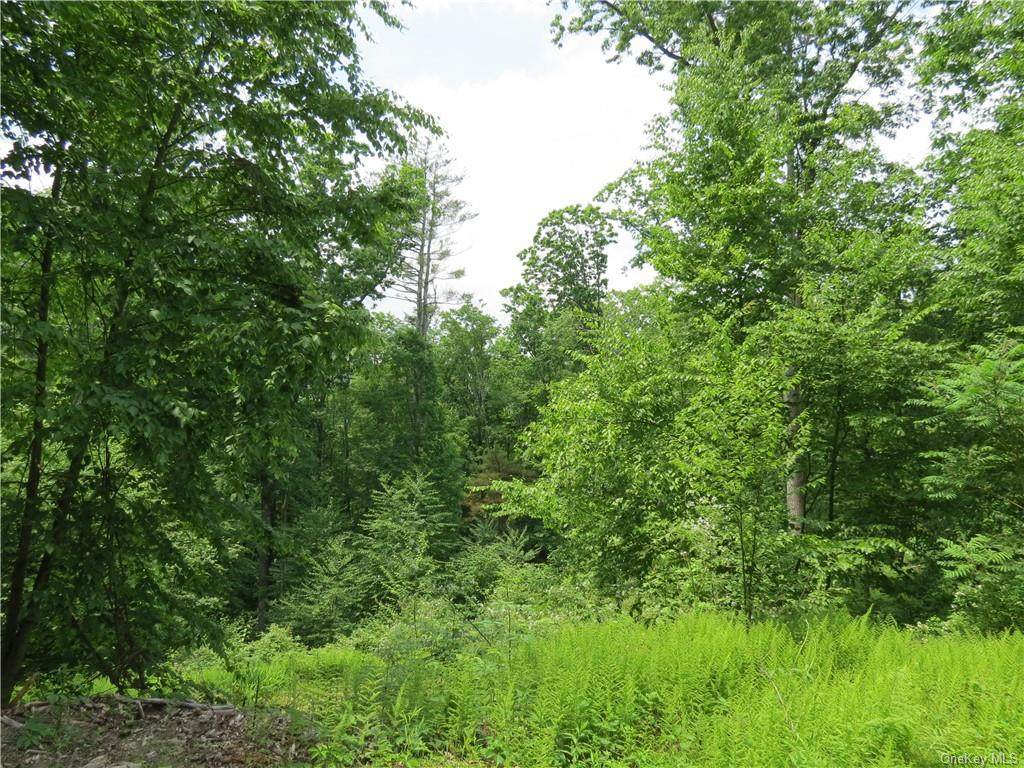 7297 State Route 97 - Photo 1