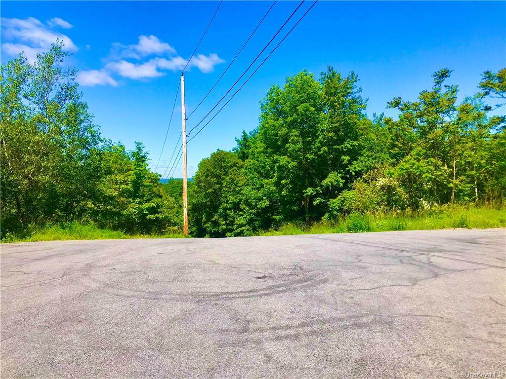 Lookout Drive - Photo 1