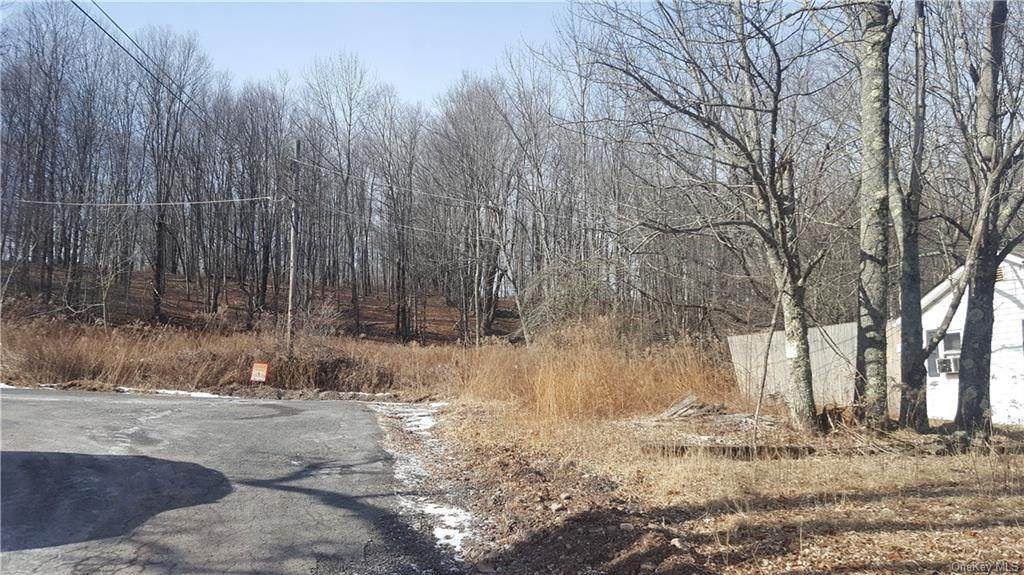 112 Pittaluga Drive - Photo 1