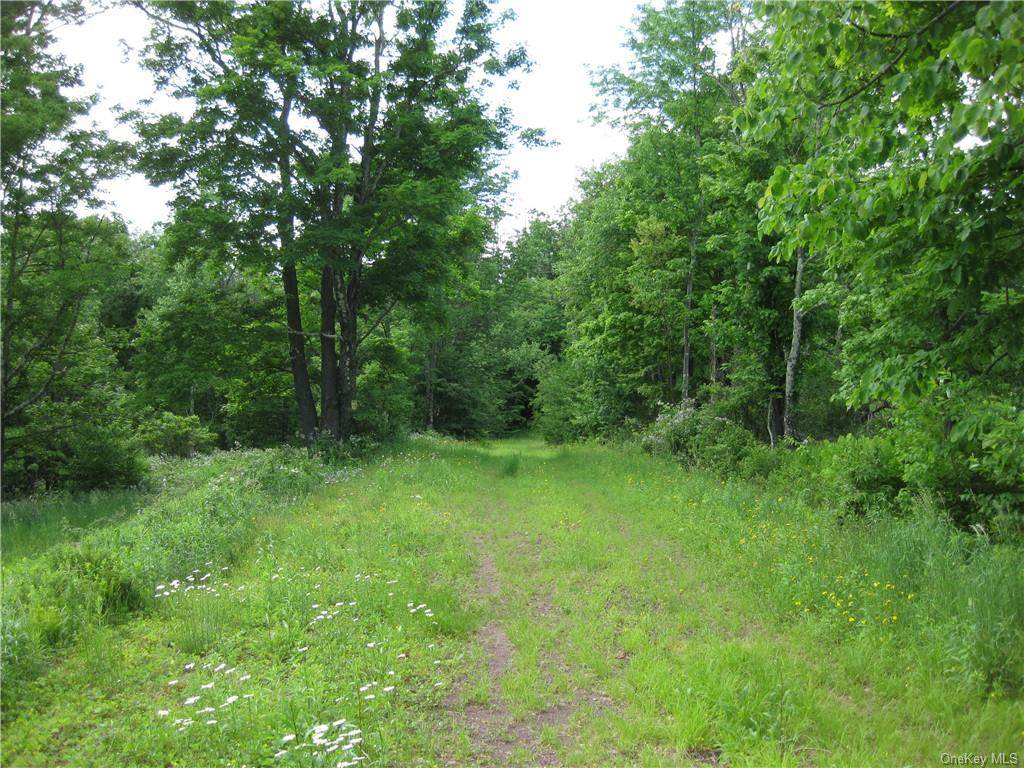 Anawanda Lake Road - Photo 1