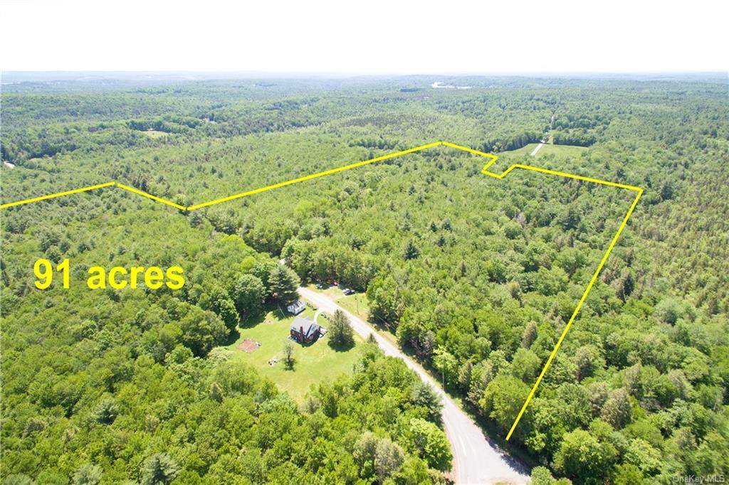 580 Horseshoe Lake Road - Photo 1