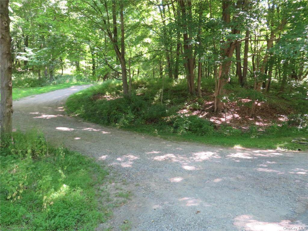 Skidmore Road - Photo 1