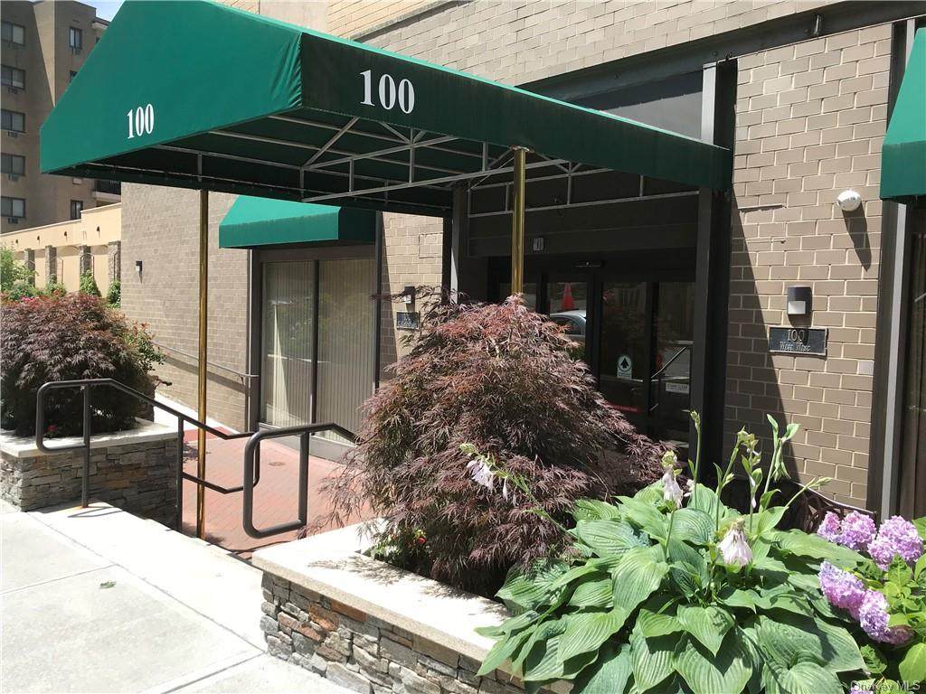 100 Hartsdale Avenue - Photo 1