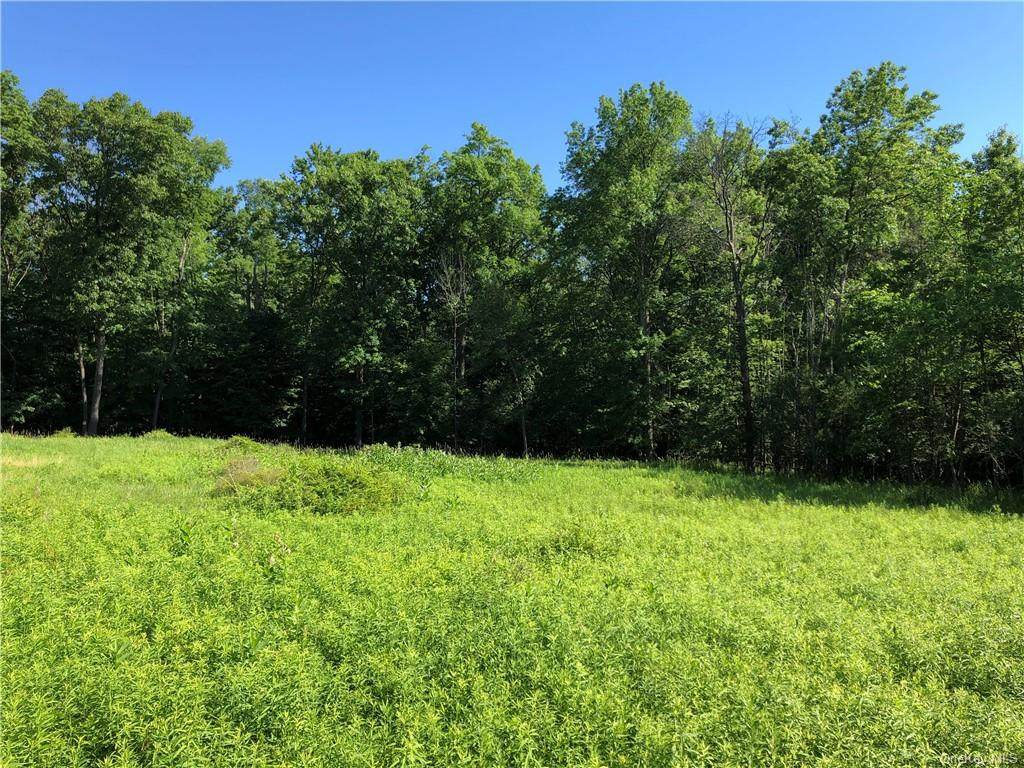 160 Phillipsburg Road - Photo 1