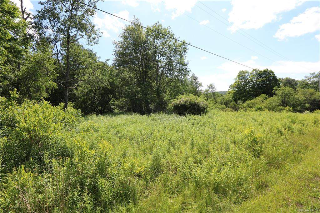 Knickerbocker Road - Photo 1